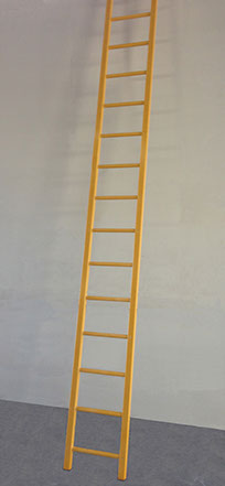 Pultrac FRP Ladders